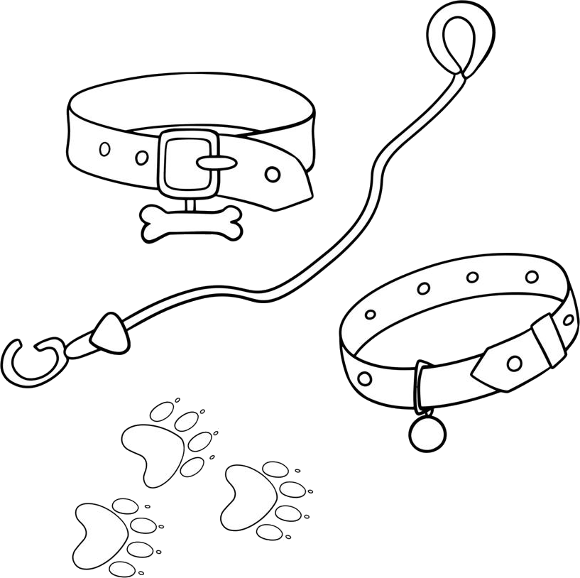 Pet collars, leash and paw prints