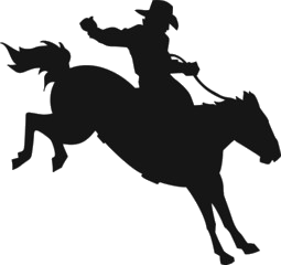 Bronco Rider