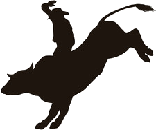 Bull Rider